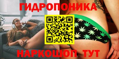 apvp Лесосибирск