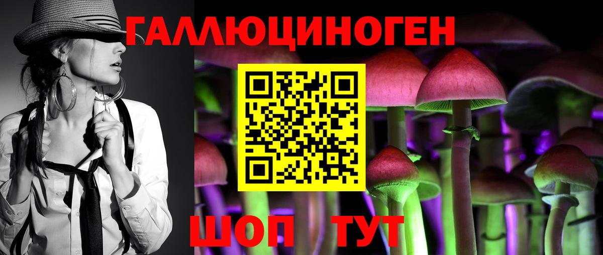 Дивногорск  Псилоцибиновые грибы GOLDEN TEACHER  Вход с VPN 